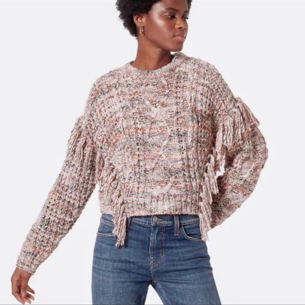 NWT Joie Chunky Knit Meghan Sweater Rose Fringe Crew Neck Top